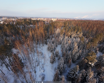 Ziemas saulriets mežaparkā